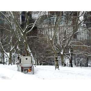  Igor Maloratsky   Carriage Snow, Central Park: Home 