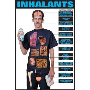  Harmful Effects of Inhalants 24 X 36 Laminated Poster 