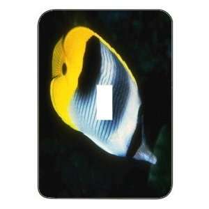   Metal Designer Switch Plate: Seaworld   (SCSSW 017): Home Improvement