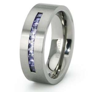    Amethyst Eternity CZ Ladies Titanium Wedding Band Ring: Jewelry