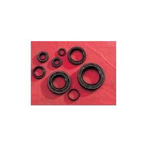  K&S Technologies Engine Oil Seal Kit 51 1002: Automotive