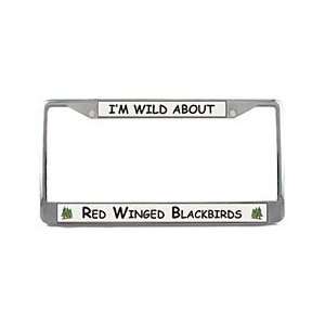  Red Winged Blackbird License Plate Frame: Sports 