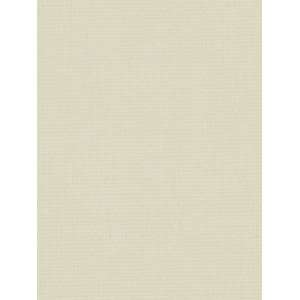  Mateo Felt Ivory by Robert Allen@Home Fabric: Arts, Crafts 
