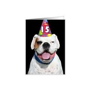  15th Birthday Party Invitation white boxer dog Card: Toys 