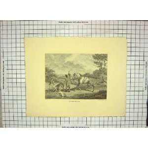  Hare Coursing *4 1799 Print By Howitt H/C