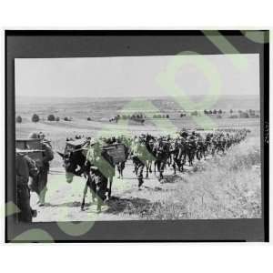   1941 Italian troops march to Russian front during WWII: Home & Kitchen