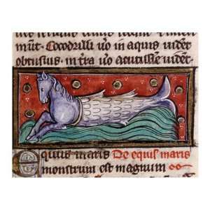  Merhorse, from 13th century Manuscript De Natura Rerum 