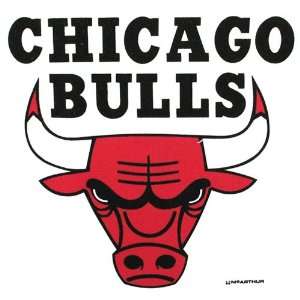  Master NBA Chicago Bulls Towel: Sports & Outdoors