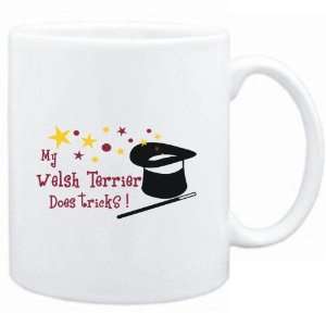   Mug White  MY Welsh Terrier DOES TRICKS !  Dogs: Sports & Outdoors