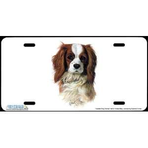 4272 Cavalier King Charles Dog License Plate Car Auto Novelty Front 