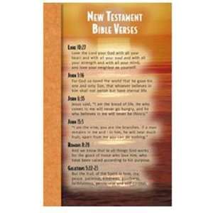  13 Pack NORTH STAR TEACHER RESOURCE NEW TESTAMENT BIBLE 