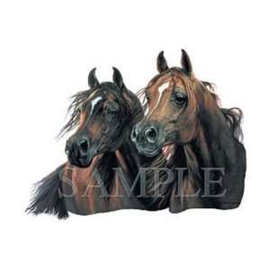  shirts Animals Wildlife Horses Arabian Knights Xl: Everything Else