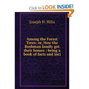  Trees or, How the Bushman family got their homes  being a book 