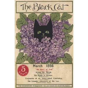  THE BLACK CAT FLOWERS BOSTON VINTAGE POSTER CANVAS REPRO 