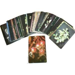  Edible & Poisonous Plants of the Western States Cards 