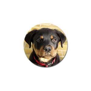  Rottweiler Puppy Dog 1 Golf Ball Marker (10 pk) I0756 