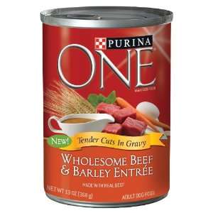  One Wholesome Entr???E Beef & Barley
