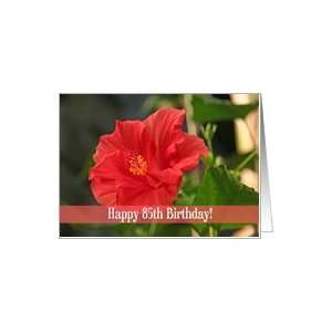  Red Floral 85th Birthday Card Card Toys & Games