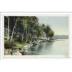  Reprint Along the Shore, Lake Spofford, Pine Grove Springs Hotel 