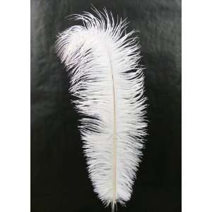 18 20in White Ostrich Feather/ 6 Feather in a Pack: Home 