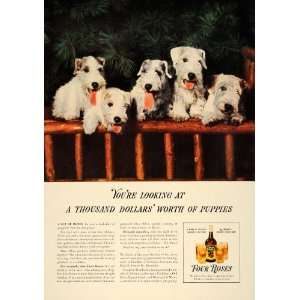  1938 Ad Airedale Puppies Four Roses Whiskey Frankfort 