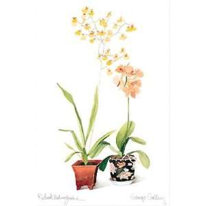  Orchids in Chinese Pots