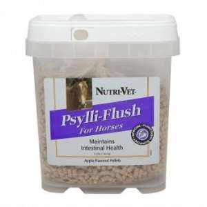 : Equine Intestinal Health Supplement   Psylli flush Supplies Natural 