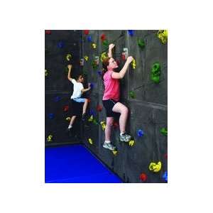  8 H x 40 W Superior Rock Traverse Climbing Wall with 200 