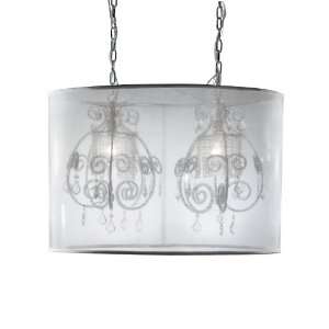   Desire Transitional Two Light Down Lighting Pendant from the Desi