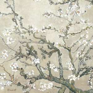 Blossoming Almond Tree, Saint Remy, C.1890   Poster by Vincent Van 