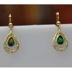  14kt Yellow Gold Diamond Ammolite Earring: Jewelry