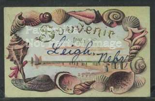 NE Leigh LITHO 1908 SOUVENIR SHELL BORDER Greetings  