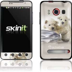  Study Buddies Westie Puppies skin for HTC EVO 4G 