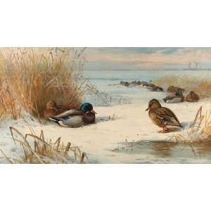  Hand Made Oil Reproduction   Archibald Thorburn   32 x 18 