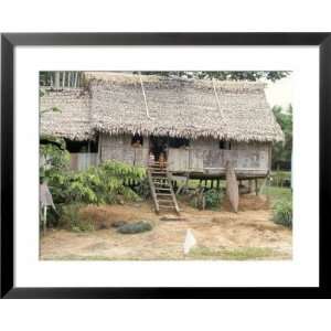  Thatched Homes Along the River, Javari River,  Basin 