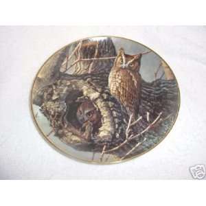 Danbury Mint Proud Vigil from Owls of North America Collector Plate