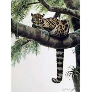  Guy Coheleach   Clouded Leopard: Home & Kitchen