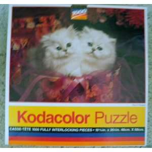  Kodacolor 1000 Piece Jigsaw Puzzle Pair O Persians 