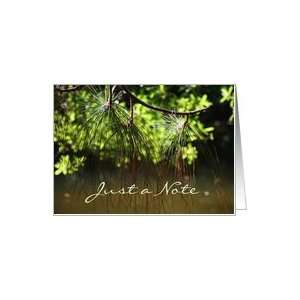  Just a note, pine tree branch, nature blank note card Card 