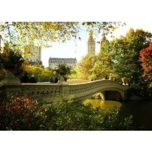  Bow Bridge in Autumn, Central Park, New York City Greeting 