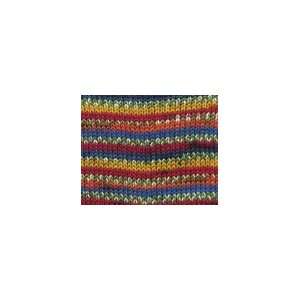   Ply Color Brasil Salvador Stripe  Regia Yarn: Arts, Crafts & Sewing