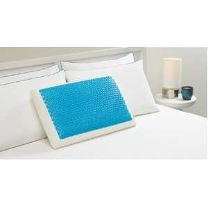   Memory Foam & Hydraluxe Cooling Bed Pillow 