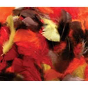  20 Pack CHENILLE KRAFT COMPANY ASSRT QUILL FEATHERS FALL 