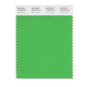   SMART 16 6444X Color Swatch Card, Poison Green: Home Improvement