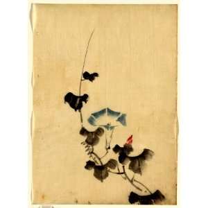  1830 Japanese Print . Blue blossom of morning glory on 