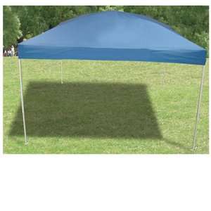  Canopy 10x10 Straight Leg 100 Sq ft Shade Automotive