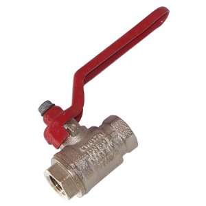  Kleinn Horns 1/4 FPT to 1/4 FPT Ball Valve Automotive