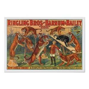  Ringling Brothers Barnum and Bailey Tigers Poster