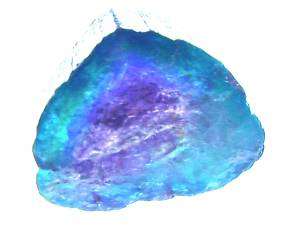 Natural Brazilian Paraiba Tourmaline Crystals 59 Cts,  