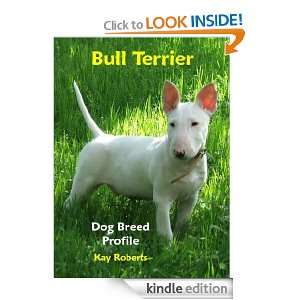Bull Terrier Dog Breed Profile Kay Roberts  Kindle Store